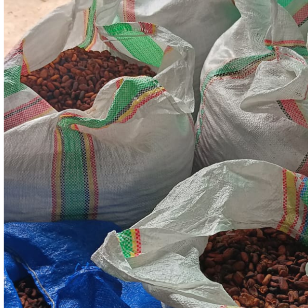 desain tanpa judul (2)